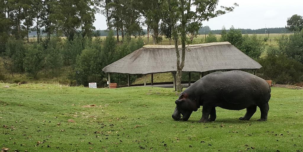 Plettenberg Bay Game Reserve: The Baroness Safari Lodge Exterior foto