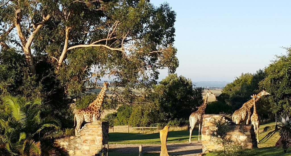Plettenberg Bay Game Reserve: The Baroness Safari Lodge Exterior foto